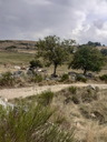 gilou_sam_montgros_048.JPG