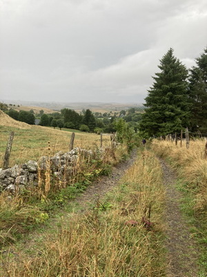 montgros_aubrac_07.JPG