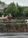 montgros_aubrac_13.JPG