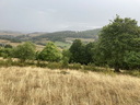 montgros_aubrac_27.JPG