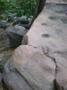 10_067.JPG