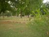 Filename=12_221.JPG
Filesize=181KiB
Dimensions=800x600
Date added=Aug 22, 2008 12_221.JPG