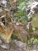 Filename=14_120.jpg
Filesize=229KiB
Dimensions=600x800
Date added=Aug 22, 2008 14_120.jpg