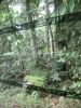 16_164.jpg