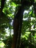 17_037.jpg