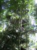 18_044.jpg