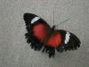 18_159.JPG