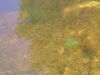 j16_0041.JPG