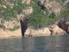 corse2007_0112.JPG