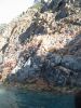 corse2007_0130.JPG