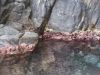 corse2007_0131.JPG