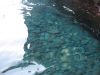corse2007_0134.JPG