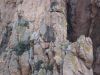 corse2007_0147.JPG