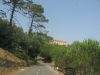 corse2007_0336.JPG