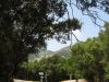 corse2007_0345.JPG
