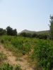 corse2007_0365.JPG