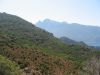 corse2007_0582.JPG