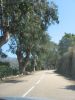 corse2007_0583.JPG