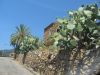 corse2007_0592.JPG