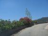 corse2007_0593.JPG