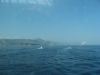 corse2007_0754.JPG