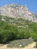 corse2007_0805.JPG