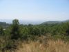corse2007_0819.JPG