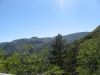 corse2007_0845.JPG