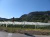 corse2007_0870.JPG
