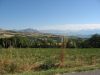 corse2007_0880.JPG