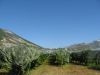 corse2007_0891.JPG