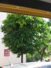 07jour_041.JPG