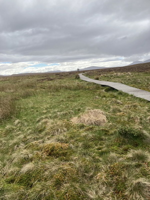 jour06_63.JPG