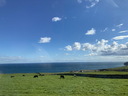 jour06_87.JPG