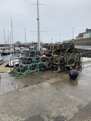jour07_061.JPG