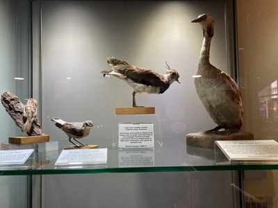 jour07_095.JPG