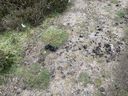 jour07_012.JPG