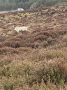 jour07_023.JPG