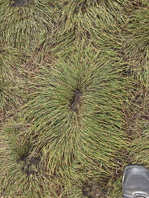 jour08_045.JPG