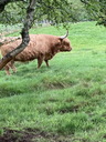 Filename=jour10_81.JPG
Filesize=168KiB
Dimensions=450x600
Date added=Jun 09, 2026 jour10_81.JPG