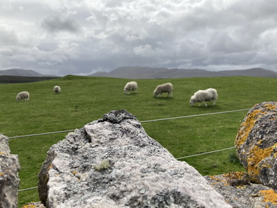 jour12_024.JPG
