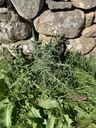 Filename=jour14_22.JPG
Filesize=207KiB
Dimensions=450x600
Date added=Jun 09, 2026 jour14_22.JPG