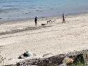 Filename=jour14_40.JPG
Filesize=247KiB
Dimensions=800x600
Date added=Jun 09, 2026 jour14_40.JPG