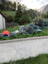 jour15_009.JPG