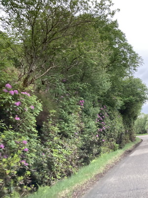 jour16_076.JPG
