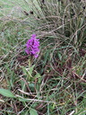 Filename=jour16_028.JPG
Filesize=221KiB
Dimensions=450x600
Date added=Jun 09, 2026 jour16_028.JPG