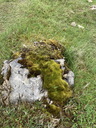 Filename=jour16_039.JPG
Filesize=212KiB
Dimensions=450x600
Date added=Jun 09, 2026 jour16_039.JPG