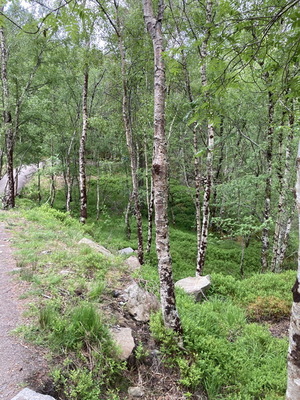 jour17_042.JPG