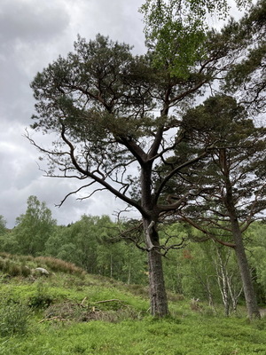 jour17_063.JPG