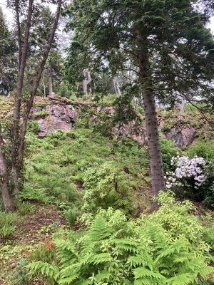 jour18_070.JPG